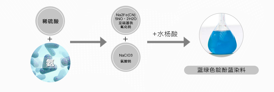氨单页.jpg